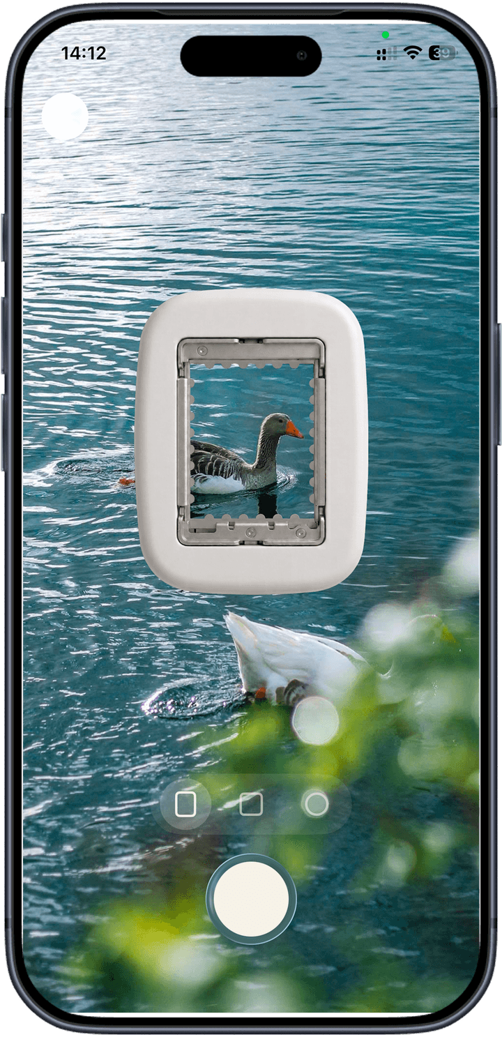 Stampist camera screen